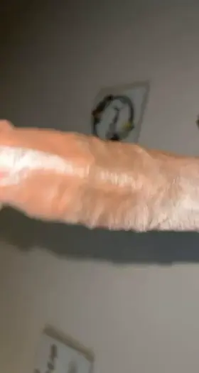 Can I slap my dick on your pussy baby?