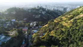 Free Weights Training