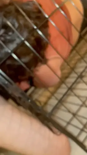 Reminding her just how worthless she is. Bitch gets her throat abused while locked and tied in a dog cage.