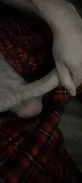 Parting some lips with this head