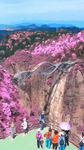 This terrifying bridge