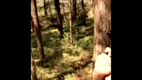 Walking to the cliffs 🌳🌳