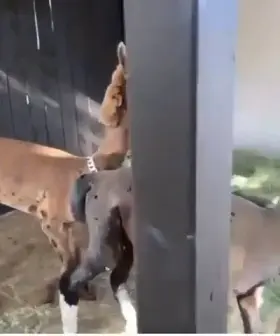 You cannot begin to comprehend..