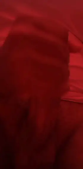 25 [M] I want someone to come grab my dick like this