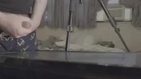 A nice and sticky nut