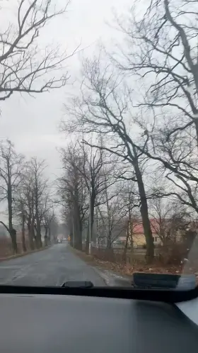 My boobs grew after Christmas because seat belts are getting in the way more and more. heh.