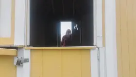 This is what I do when left unsupervised at work.