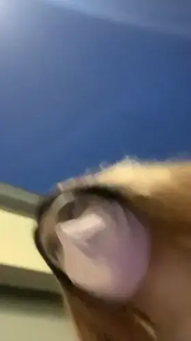 I love being exposed and humiliated esp in pubic and by women hehe