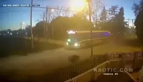 Woman crushed by bus while crossing the street in Mexico