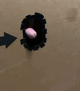 Challenger approaching