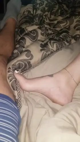 12 inch monster dildo