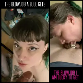Who said you will not get blow jobs, it is just that with the husband, different rules apply. Blow jobs for the bull are meant for pleasure and for you its intended to create pain and humiliation.
