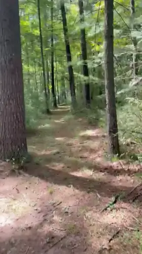 hello from virginia 😉 🔌 😘