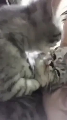 Pussy on casting couch