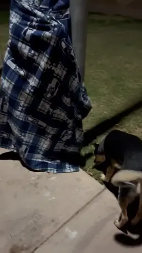 The HOA didn’t specify that I can’t walk around naked so why not?