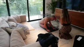 Cages and betas and locks, oh my! [f] [nb]