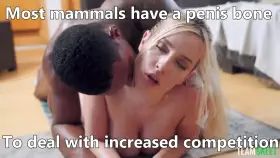 The BBC Takeover Vol 9