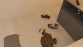 Tracer (honta) [Overwatch]