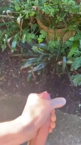 Count how many streams of hot cum i do in complete midday view of my neighbours kitchen window