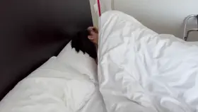 The best way to wake up Nephael