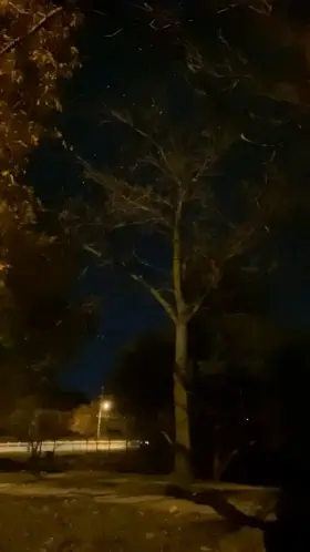 Someone commented to get naked outside omw to the gym. What should I do while I’m there?