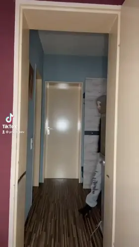 Magic Door 🍆💦