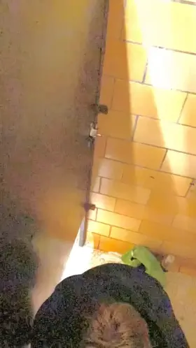 getting sucked at the local gloryhole