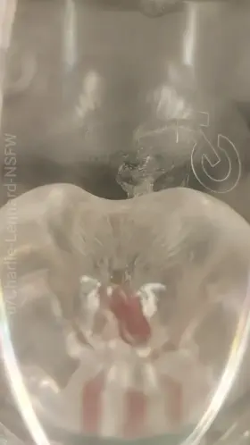 Follow up to my last post here