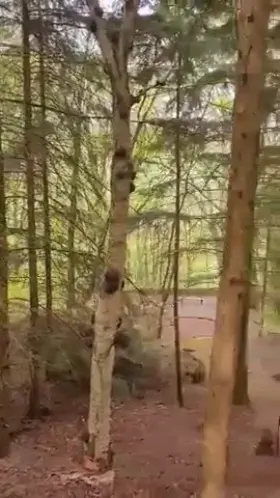 I will suck dick anytime and anywhere.