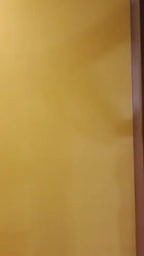 showing off new stripper shorts with a quick selfsuck