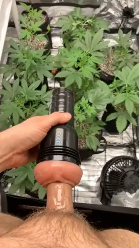 I grow pot and show cock. I love showing my ladies my dad dick but it’s the boys I’m interested in. Lemme see them dicks!