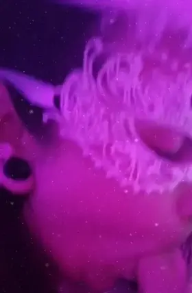 XXX-Mas Came Early in my house 😜 looks like it's gonna be a White Christmas 🤤 [OC]