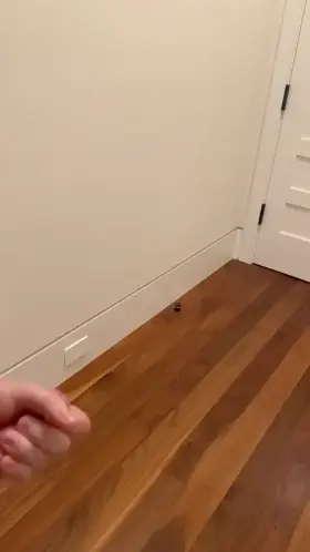 Anybody like to be on the receiving end of this cum cannon?😈