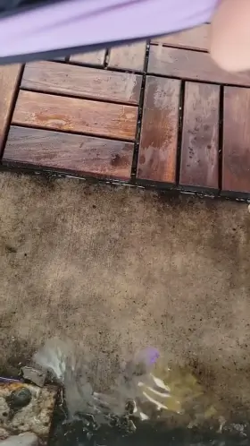 Do you have anything you need pressure washed?