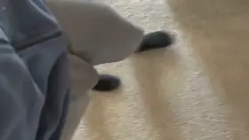 Walking in grey seats