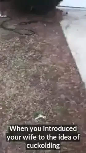 She was in a sex coma when he left! She shot you a devious look and smile and said she sold on the cuckolding idea