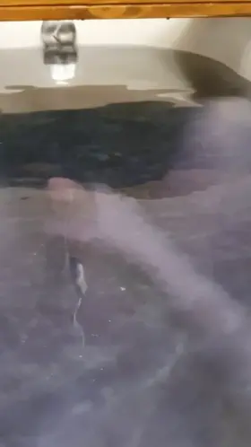 Iemand wil hallo zeggen 👋