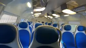 Public Cumshot On A Train (Uncut Cock) #2