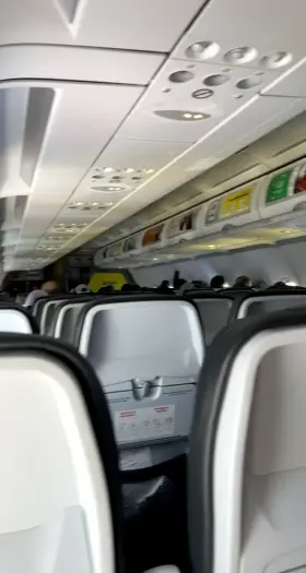 Had a little fun on my flight today! [gif]