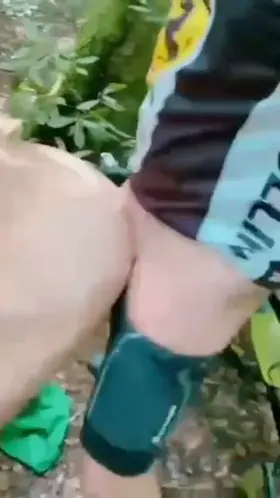 Would you go down to the woods today?