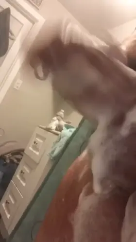 Stroking my fat monster cock soft to hard in the shower 😈🍆🚿 pt2