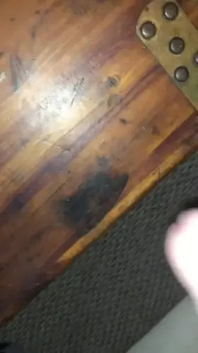 Want my cock throbbing in your mouth and shoot my cum down your slutty throat (m35)