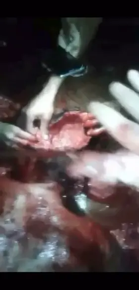 Ruthless Outcome of A Prison Riot — NSFL NSFW repost