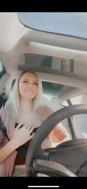 Novaruu tests Tesla autopilot