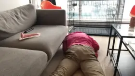 Just a quiet afternoon in the life of a lifestyle Domme.