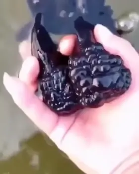 This guy definitely got branded