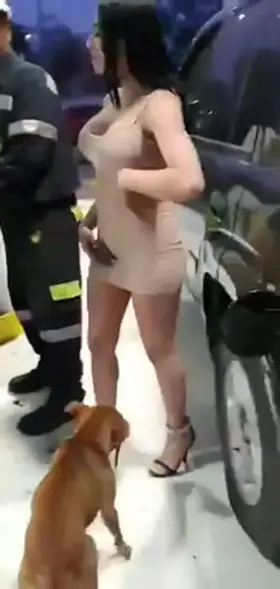 After coming out from the gas station I noticed a guy attempting to use my gas pump for his car. Seems he was looking for free gas. I'm a nice guy, and I decided to give him the means to work for some free gas. Maybe i'll even be his first customer and give her a ride. (Rp)