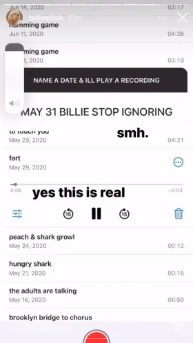 billie eilish fart
