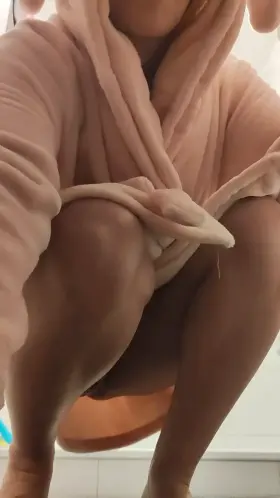 Hey I'm a cute little bunny who's searching for carrots, can you help me out