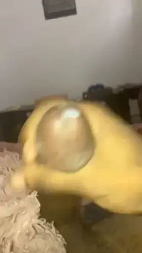 Could you swallow it all?